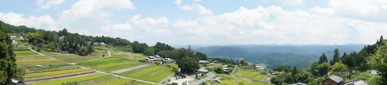 深野の四季２